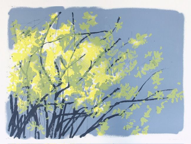 Grey Sky and Yellow Blossom  (sold out)